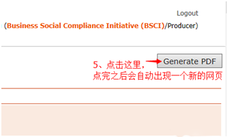 BSCI完整报告